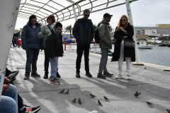 ADAPONDA-OPEN-AQUARION-ALICANTE-2026-533