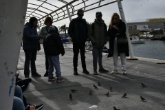 ADAPONDA-OPEN-AQUARION-ALICANTE-2026-536