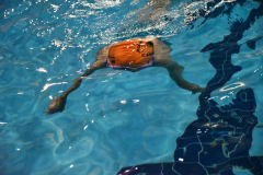 ADAPONDA-OPEN-DE-AQUATIC-CAMPANAR-2026-343