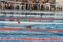 IMG_20260524_114732674
