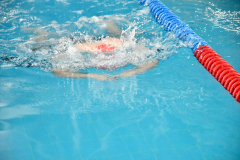 ADAPONDA-CTO.-AUTONOMICO-NATACION-FEDICV-CASTELLON-2026-047