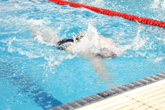 ADAPONDA-CTO.-AUTONOMICO-NATACION-FEDICV-CASTELLON-2026-056